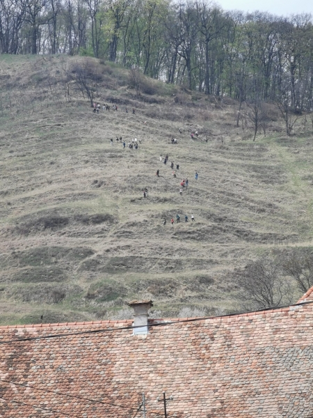 EXCURSIE SCOLARA - O zi in Colinele Transilvaniei