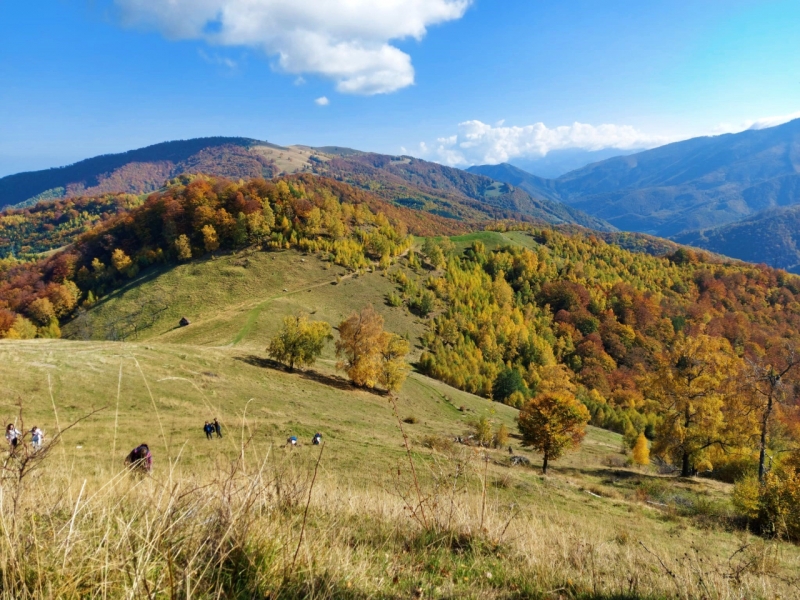EXCURSIE SCOLARA - Drumetie de 1 zi in Marginimea Sibiului
