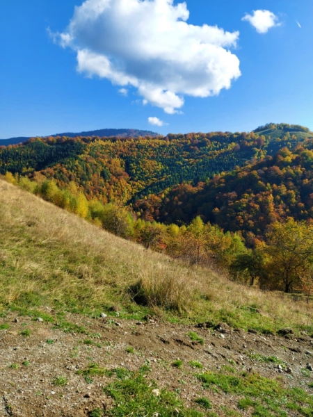 EXCURSIE SCOLARA - Drumetie de 1 zi in Marginimea Sibiului