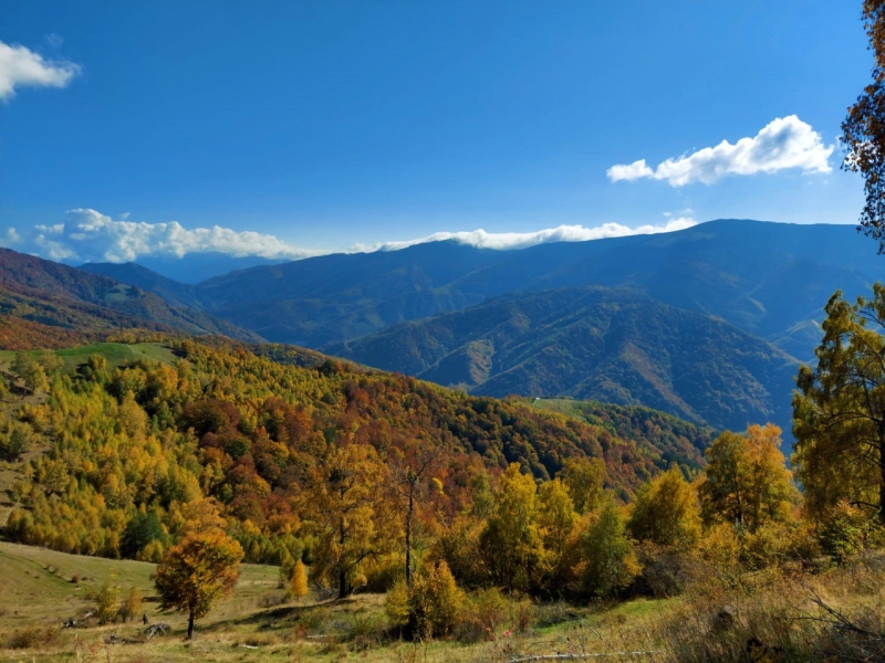 EXCURSIE SCOLARA - Drumetie de 1 zi in Marginimea Sibiului