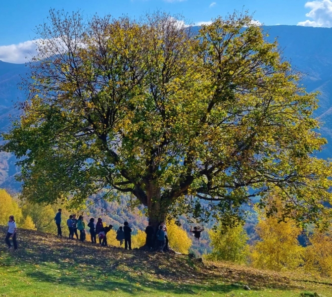 EXCURSIE SCOLARA - Drumetie de 1 zi in Marginimea Sibiului