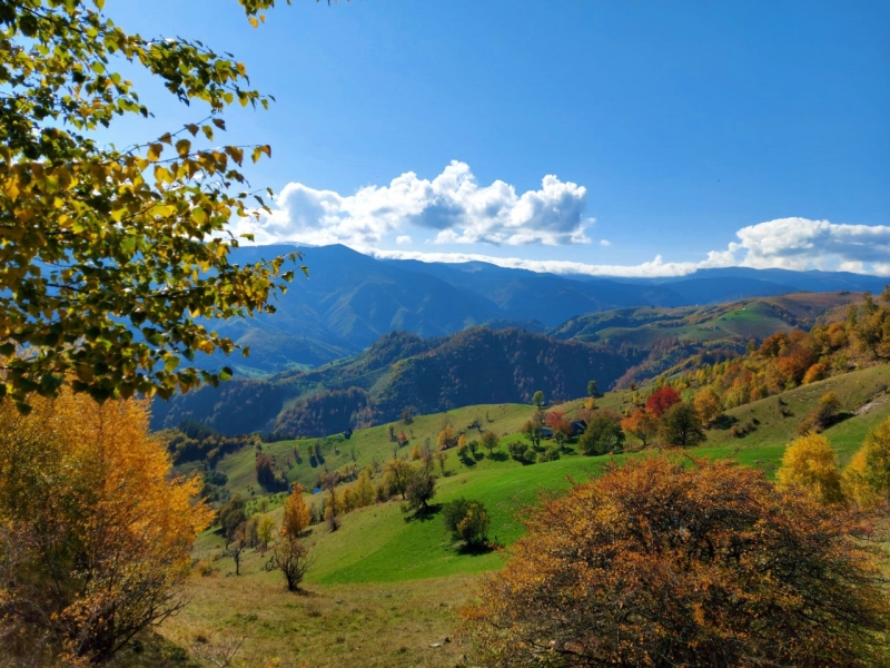 EXCURSIE SCOLARA - Drumetie de 1 zi in Marginimea Sibiului