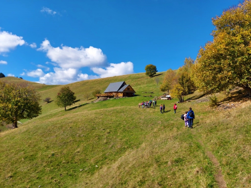 EXCURSIE SCOLARA - Drumetie de 1 zi in Marginimea Sibiului