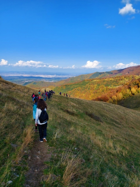 EXCURSIE SCOLARA - Drumetie de 1 zi in Marginimea Sibiului