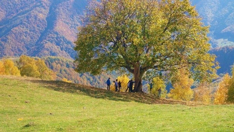 EXCURSIE SCOLARA - Drumetie de 1 zi in Marginimea Sibiului