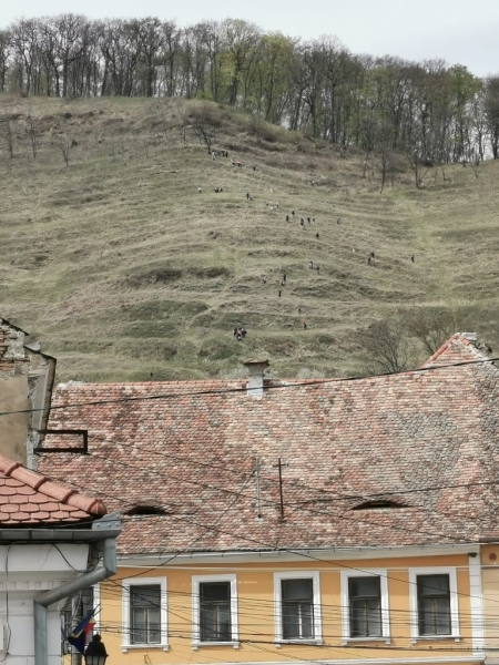 EXCURSIE SCOLARA - O zi in Colinele Transilvaniei