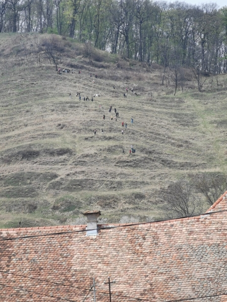 EXCURSIE SCOLARA - O zi in Colinele Transilvaniei